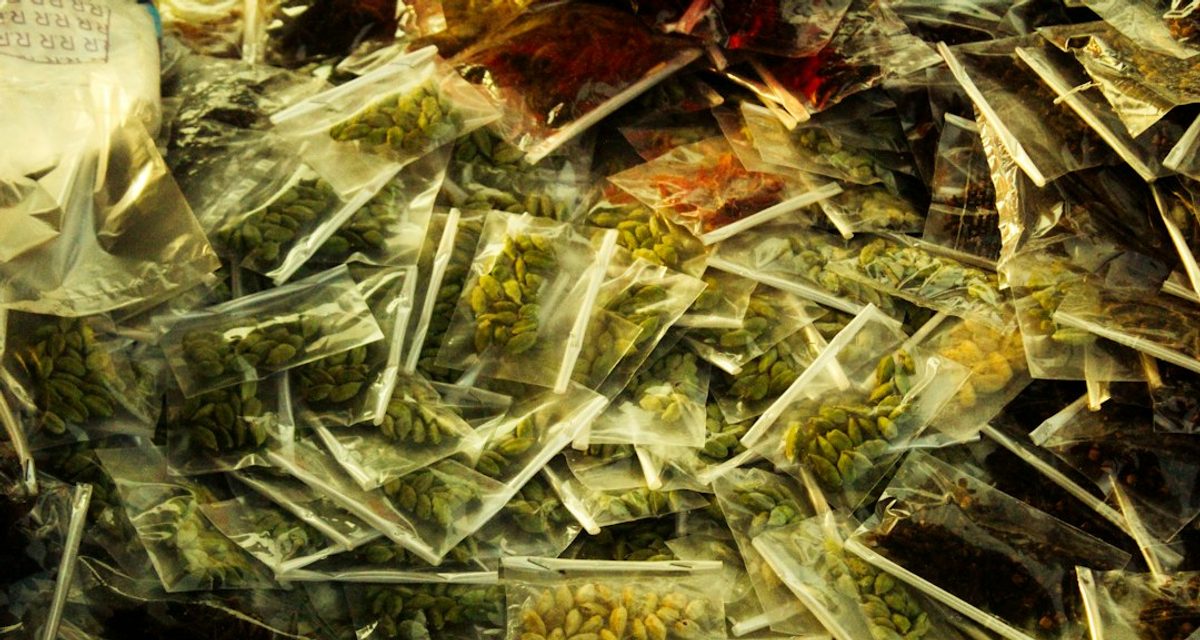 В двух гаражах жителя Новомичуринска нашли почти 6 кг марихуаны и галлюциногенные грибы